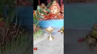 अंबे है मेरी मां दुर्गा है मेरी मां Durga hai meri MAA Ambe hai meri man bolo Jay Mata Di [upl. by Kama]