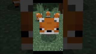 Minecraft fox into human shorts minecraft [upl. by Amzu31]