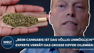 DEUTSCHLAND quotBeim Cannabis ist das völlig unmöglichquot Klartext vom Experten Das Dilemma der Kiffer [upl. by Nedla389]