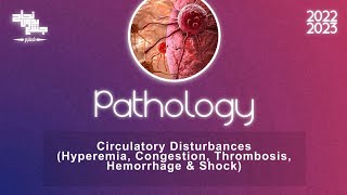 Ch5 part3 Circulatory disturbances HyperemiaCongestion Thrombosis HemorrhageShock Pathology [upl. by Cohbert713]