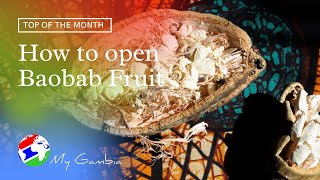 How to open baobab fruit  My Gambia  My Magazine [upl. by Anuayek]