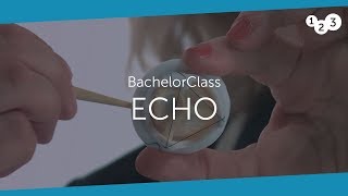 Echo BachelorClass  Your introduction to basic echocardiography [upl. by Hilliary]