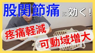 たったこれだけで！？股関節の可動域UP↑＆痛みが軽減する！くるくる回す股関節のモビライゼーション紹介 [upl. by Wills]