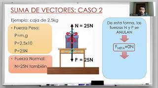 Suma de vectores colineales [upl. by Estrin]