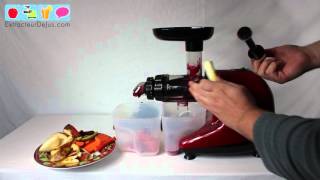 Test extracteur de jus VitalJuicer 03 de ZenampPur  ExtracteurDeJuscom [upl. by Thirza]