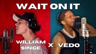 William Singe X Vedo  Wait On It Remix [upl. by Rases163]