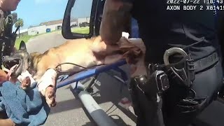 ‘Get him out of here now’ Bodycam shows moments officers save K9 shot while going after suspects [upl. by Retsim]