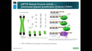 Using Droplet Digital™ PCR for Cancer and Liquid Biopsy Studies [upl. by Ennayelsel]