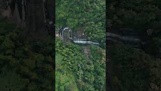 Subscribe to fly with me strangerbird fyp srilanka nature virulshorts [upl. by Hgierb]