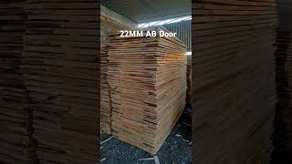 22mm AB Door song [upl. by Talanian]