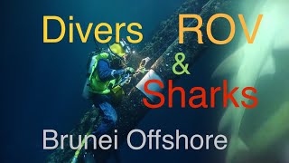 Divers ROV amp Sharks  Brunei offshore Saturation Diving 201819 Kreuz Challenger [upl. by Dweck]