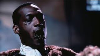 Candyman Full Movie Facts and Review  Virginia Madsen  Tony Todd [upl. by Grogan]