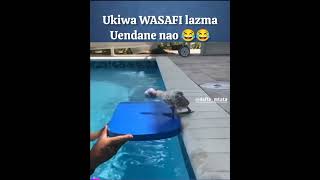 Ukiwa WASAFI lazima uendane nao [upl. by Enale]