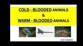 COLD  BLOODED ANIMALS amp WARM  BLOODED ANIMALS  POIKILOTHERMIC ANIMALS  HOMEOTHERMIC ANIMALS [upl. by Harolda]