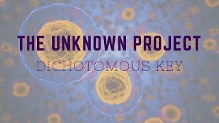 BCS200 Unknown Project  Dichotomous Key [upl. by Crane]