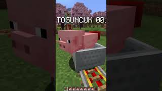 RİSKLİ MİNECRAFT DENEYİ minecraft [upl. by Groome]