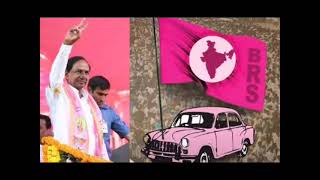 Gulabi janda telangana gadda midha gulabi jhanda bangaru telangana [upl. by Lissa235]