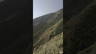 AT THE UPPERMOST LEVEL⛰️youtubeshorts shortsfeed nature kashmir explore trendingshorts [upl. by Arfihs48]