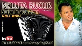 NELUTA BUCUR  Sarba la acordeon 1 live audio [upl. by Svoboda285]