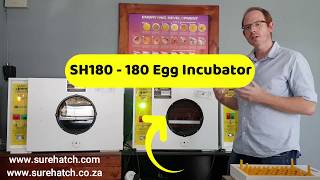 180 Egg Incubator and Hatcher Review  Surehatch SH180 [upl. by Tatiania]