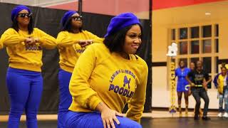 Sigma Gamma Rho Spring 2023 Neophyte Presentation  Lambda Beta Poodles at Valdosta State University [upl. by Assenab]