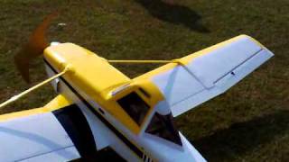 Cessna 188 AG Wagon 50cc maiden flight [upl. by Esinaj]