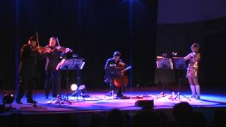 the balanescu quartet plays kraftwerk [upl. by Nitsud]