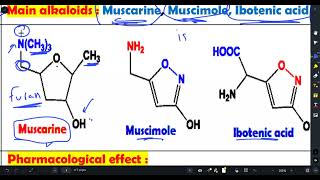 SGU  Alkaloids 2 [upl. by Lachus]