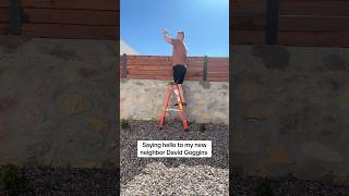 That wasn’t very neighborly davidgoggins neighbors extrovert funnyvideo funnyshorts fyp [upl. by Aselehc288]