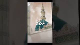 shorts shortsfeed shortsviral shortsvidio 𝘴𝘴𝘩𝘰𝘳𝘵𝘴islamic [upl. by Jehoash3]