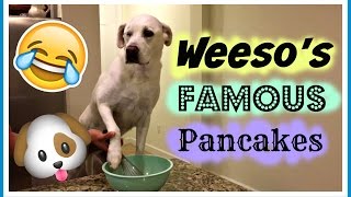 HOW TO MAKE DOG PANCAKES l JandCtv [upl. by Chow83]