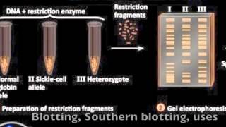 Biotechnology Review Song [upl. by Prud]