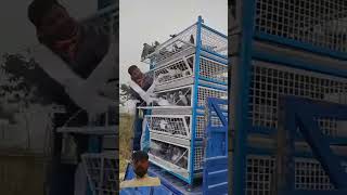 pigeon racingpigeonloft birds oneloftrace farming pigeonracing birdlovers racingpegion vlog [upl. by Efal137]