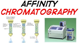 Affinity chromatography [upl. by Giorgi]