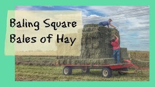 baling square bales hay [upl. by Shaia]