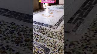 Marble Tiles vs Terrazzo flooring which is best shorts tiles [upl. by Lerrad]