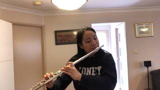 Intermezzo Popp AMEB Flute Grade 5 List C [upl. by Pascoe]