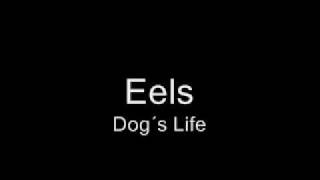 Eels  Dogs Life [upl. by Thornton]