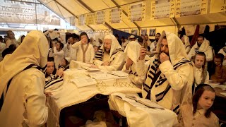 Thousands of Jewish pilgrims gather in small Ukrainian town to celebrate the beginning of the new Ju [upl. by Walley]