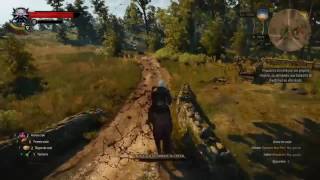 The Witcher 3  Où trouver la recette Hydragenum et le schéma carreaux de précision [upl. by Sigmund]