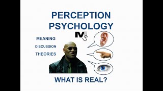 The Psychology of Perception  Simplest Explanation Ever [upl. by Nnylecoj]