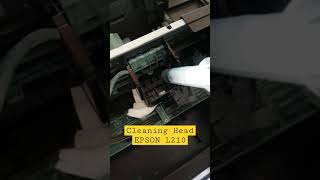 Cleaning Head EPSON L210 [upl. by Baillie]