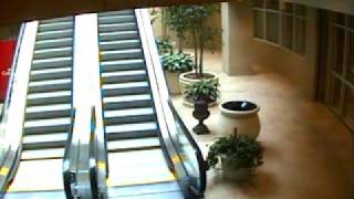 OLD GUY FALLS UP AN ESCALATOR [upl. by Durston813]