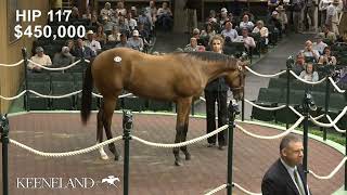 Hip 117 Gun Runner  Lucrezia sells for 1 million at 2024 Keeneland September [upl. by Ayerdna633]