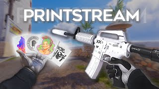 M4A1S Printstream BEST sticker Combos in CS2 [upl. by Jadwiga340]