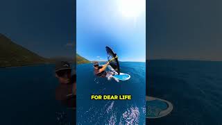 How to Windsurf in chop windsurf insta360 [upl. by Sharona110]