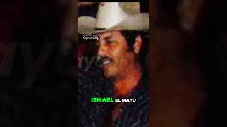 El Señor de SOMBRERO 🤠 EL MAYO ZAMBADA noticias narcosmexico SINALOA [upl. by Strephonn402]