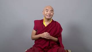 A special birthday message from our beloved teacher Yongey Mingyur Rinpoche [upl. by Freda22]