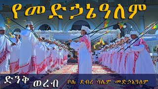 የመድኃኔዓለም ወረብ  ቦሌ ደብረ ሳሌም መድኃኔዓለም መዘምራን New Ethiopian Orthodox Mezmur 2024 [upl. by Aisekal640]