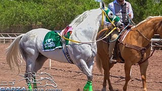 CHELELO VS SULTÁN  CARRERAS DE CABALLOS  DE LA GARZA PHOTOFINISH [upl. by Ovid495]